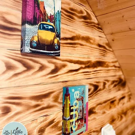 Little Wood Insolites - Adults Only