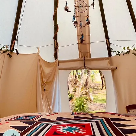 Little Wood Insolites - Adults Only *